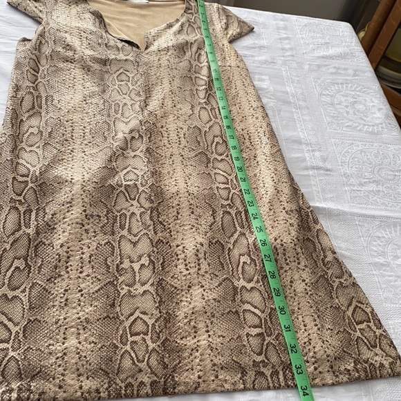 Cute, fun shift dress. Snakeskin pattern in neutral beige and browns. Size Small - Picture 9 of 13